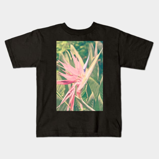 Bird of Paradise ll Kids T-Shirt by oliviastclaire